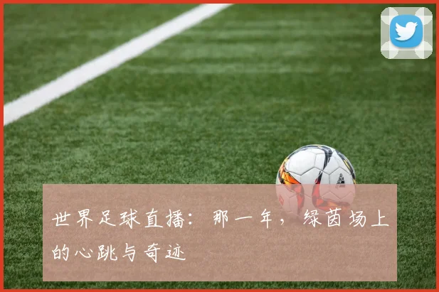 世界足球直播:那一年,绿茵场上的心跳与奇迹